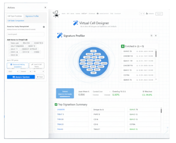 Sketch of Signature Profiler UI